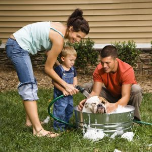 Family giving dog a bath.