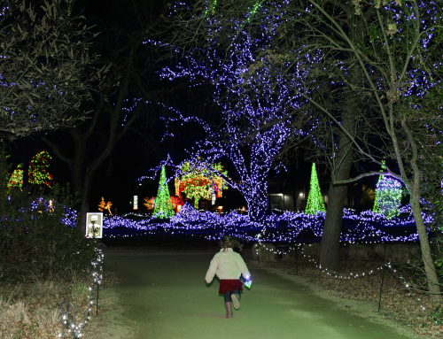 A Magical Evening: Recapping the 2024 Sundial Garden of Lights